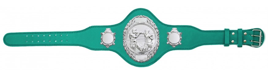 BOXING CHAMPIONSHIP BELT PLT286/S/BOXS-4 COLOURS
